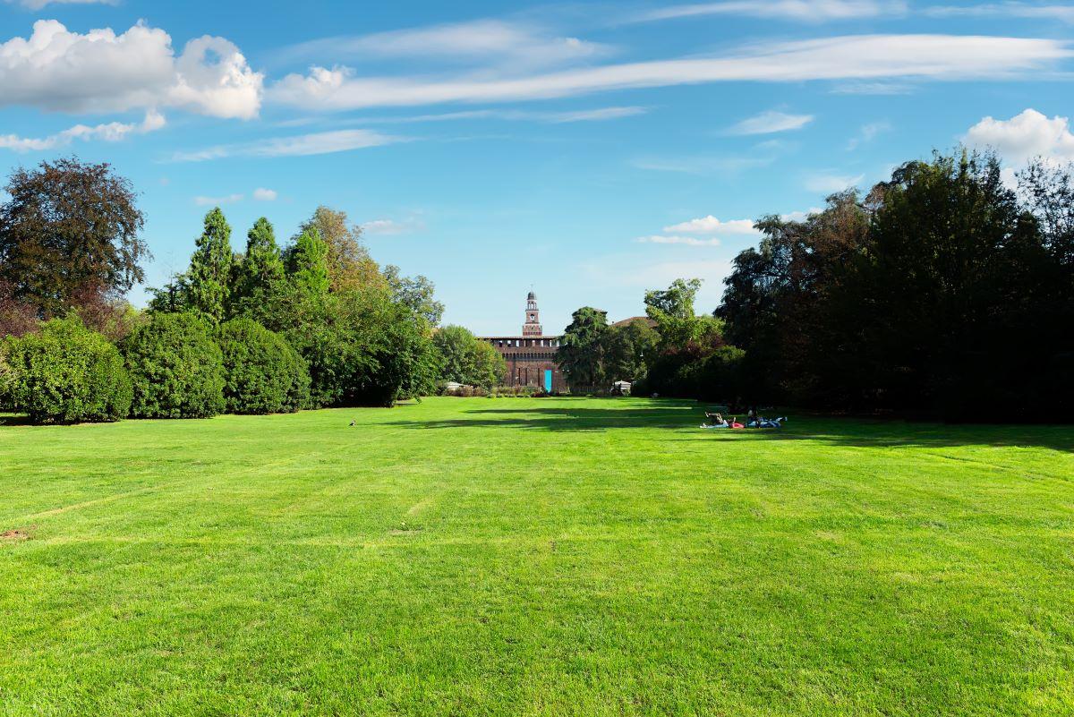 Gyepszellőztetés hatására a friss gyep