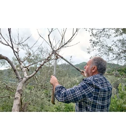 Magassági ágvágó: Mikor van rá szükség? Hogyan kell használni?