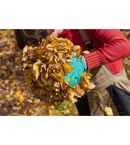 Őszi lemosó permetezés: teljes útmutató zöldfülű kertészeknek